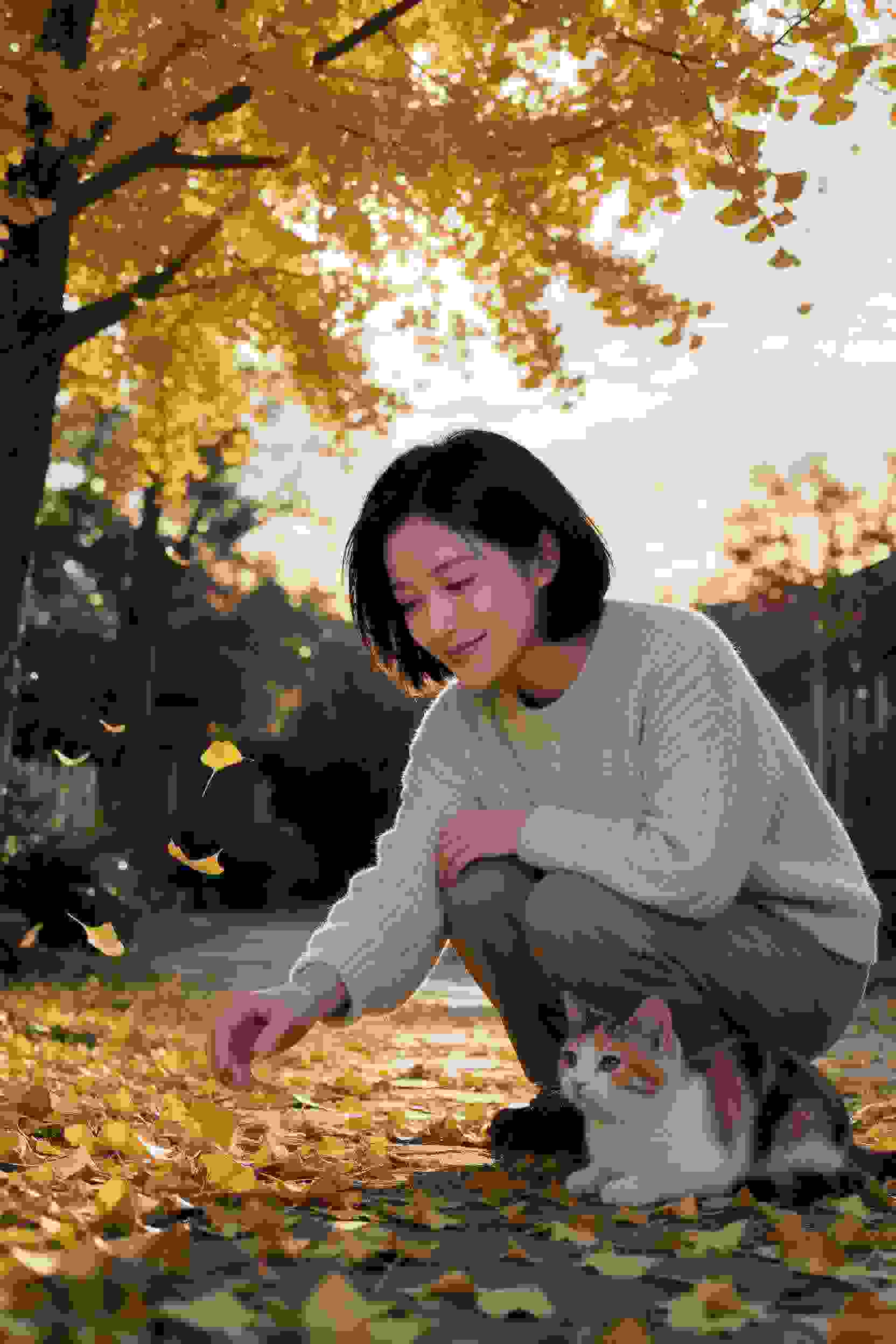 诅咒的系统
